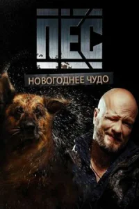 Никита Панфилов, Андрей Саминин, Михаил Жонин,