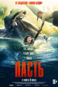 Мэдисон Девенпорт, Трэйси Боннер, Жоакин де